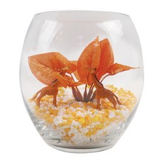 加濕長圓形玻璃球15個魚缸套組, 黃色的