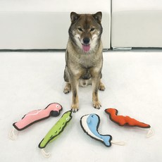 ParisDog 狗狗帆布大狗玩具4件組, 1套, 綠色, 藍色, 橘色, 粉紅色