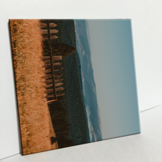 HTP 磁磚 Batllador Nadelpan C1916, 1個