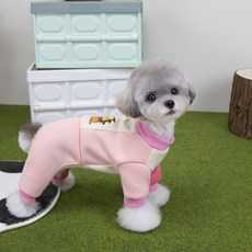 쿠펫츠 강아지 컬러블록 올인원, 핑크, 1개