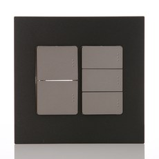 第一電氣工業 Adonis 黑珍珠 1路5開 雙聯開關, 1個