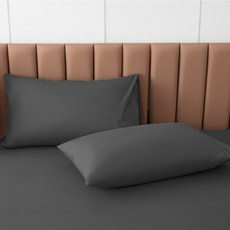 Annette 吸濕排汗防水枕套2入