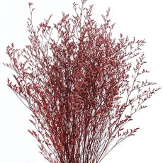 Sonio 裝飾用永恆多彩草束, 01 紅色