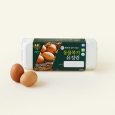 조인 동물복지 인증 유정란 520g, 1개, 10구