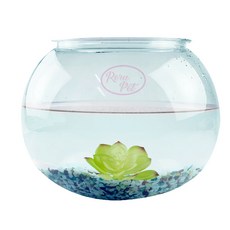 Rora Pet 圓形魚缸+魚缸沙+多肉植物組, 魚缸沙(五色沙) 多肉植物(隨機出貨)
