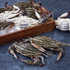 피시원 산지직송 알뜰몽당 알배기 봄 암꽃게 (냉장), 2kg, 1개