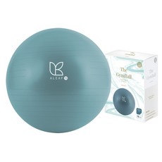 아리프 안티버스트 짐볼, 다크 틸 헬스_건강식품/홈트레이닝 반품 최저가 11,730원