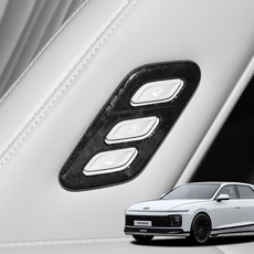 디케이몰 그랜저GN7 튜닝 몰딩 워크인, 라인, 포지드카본