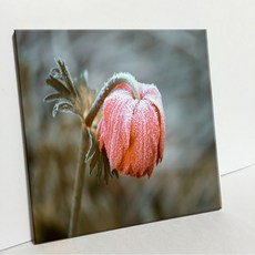 UDP 磁磚畫框 A型 3840163, 單一顏色