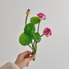 소유공간 조화 동양 연꽃 꽃다발 S265-0109, 퍼플(S265-0109PU), 3개