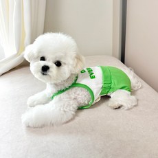 Grooming daeng-e 狗狗運動風涼感背心套裝, 1個, 綠色
