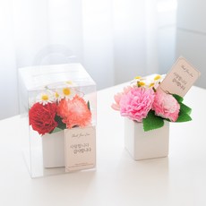 아스파시아 비누꽃 플로리 카네이션 화분 + 케이스 + 메시지 카드 + 용돈 봉투 세트, 레드 + 핑크, 2세트