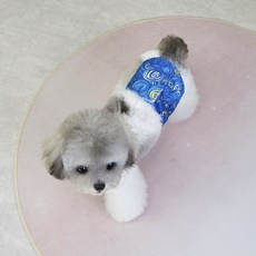 코코스튜디오 강아지 수컷용 코코 드리미 매너벨트 별밤 블루, 1개, 1개입, 대형