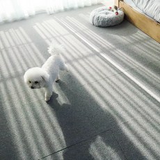 딩동펫 반려동물 블럭 카페트 20p, 그레이