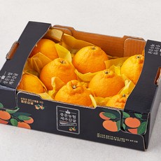 중문농협 당도선별 황제 한라봉, 1.8kg(소과, 9~12입), 1박스