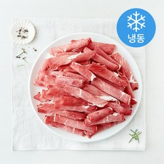 호주산 차돌양지 돌돌말이 구이용 (냉동), 1개, 500g
