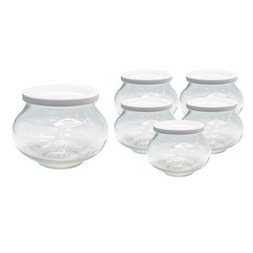 WECK 罐型玻璃儲物瓶 560ml No.901 6入 + PE蓋 6入組, 1套