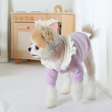 에이미러브즈펫 강아지 BL 소공녀 가디건, 퍼플, 1개