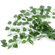 March Yesterday 內部人造皮膚 Dapsus Vine 2m 12p, 1個, 混色