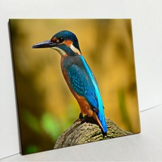 UDP 磁磚畫框 A型 1905255