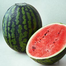 한반도 양구 당도선별 하우스 수박, 9kg 이상, 1개