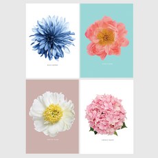 室內裝潢畫框海報 彩色花朵 4件組
