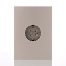 第一電氣工業 Adonis 香檳金 1孔插座, 1個