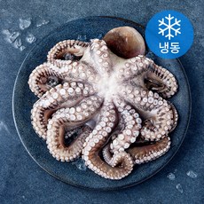 비비수산 깨끗하게 손질한 문어 한마리 (냉동), 1개, 800g