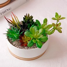 Morningscent 早晨香氣DIY沸石多肉植物假花組合 A型, A2, 1組