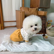 BYDAMSOOMI 小狗寶寶花朵韓服連衣裙, 黃色