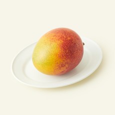제주농협 애플망고, 1개, 370g