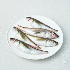 어성 알배기 도루묵 생물 5미 (냉장), 1개, 400g