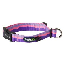 분독 강아지 어드벤처 목줄, 퍼플