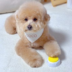 MAAH 狗狗訓練溝通錄音鈴, 黃色, 1個