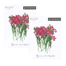 checkstory lbeia壓花40p, 粉色的