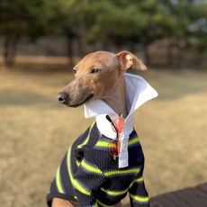 DOGGY STAR IG服飾 義大利格雷伊獵犬條紋領T恤, 深藍色