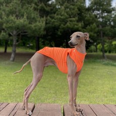 DOGGY STAR 寵物犬夏季無袖T恤, 螢光橘