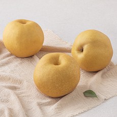 원농산 당도선별 배 대 3개입, 1.5kg, 1팩