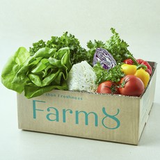 팜에이트 유러피안 밀프랩 샐러드 키트, 1.5kg, 1세트