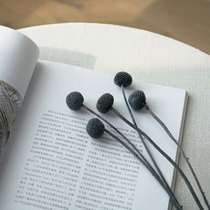 GAPANG 乾花 DRYB08409, 09（黑色）