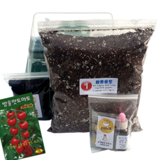 하늘e정원 키트 텃밭 씨앗 10립, 방울토마토