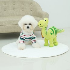 레드퍼피 반려동물 아기공룡 토담이 장난감 L, 그린, 1개