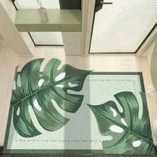 AFAMIC 艾法 綠葉系 刮泥玄關腳踏墊, 龜背葉, 1個