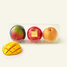 셀렉트팜 애플망고 사과 배 혼합팩, 1개, 1.4kg