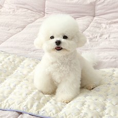 ITS DOG 寵物人造絲 Petit Mignon 涼感墊, 1個, 單一顏色