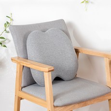 와다다샵 허리보호 등받이 쿠션 + 커버, 타입 01