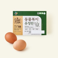 CJ 동물복지 인증 유정란 1040g, 1개, 20구 1개, 20구