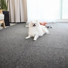 딩동펫 반려동물 블럭 카페트 20p, 차콜