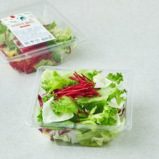 저스트그린 아삭아삭 샐러드, 65g, 1개