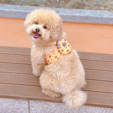 MAAH 狗狗背包款小熊格紋胸背帶 + 牽繩套組, 1套, 橘色